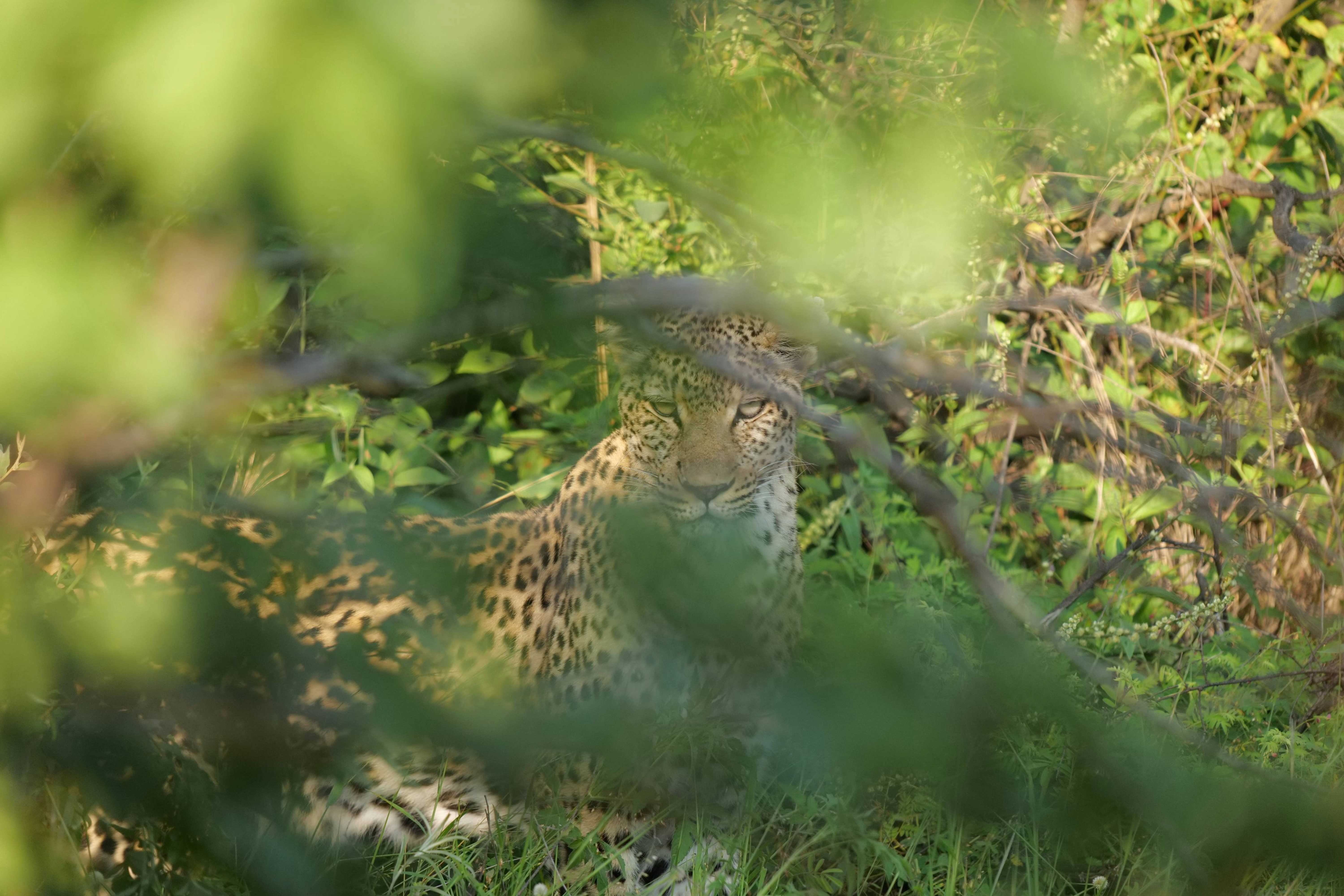 World's #1 Mobile Network for Nature