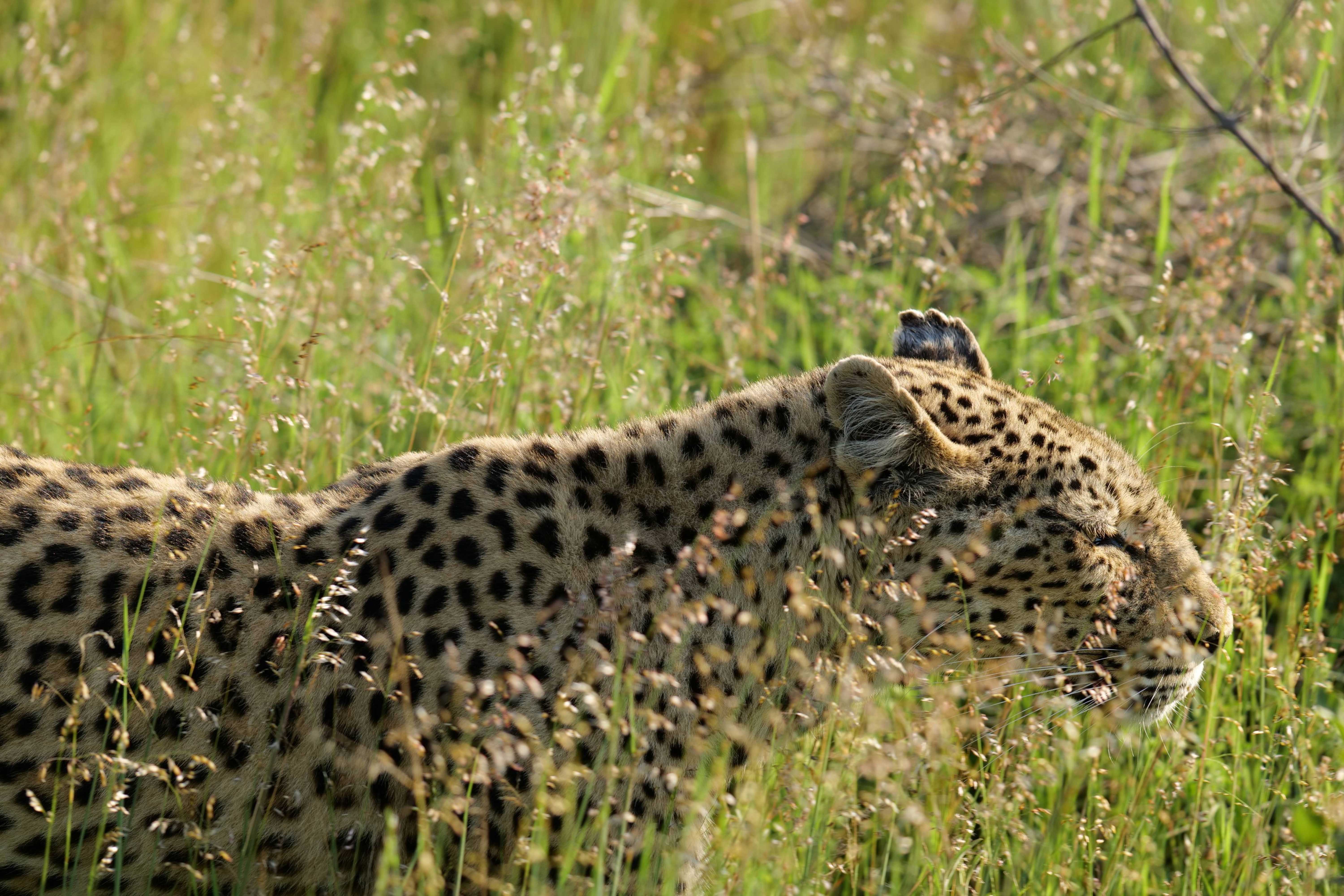 World's #1 Mobile Network for Nature