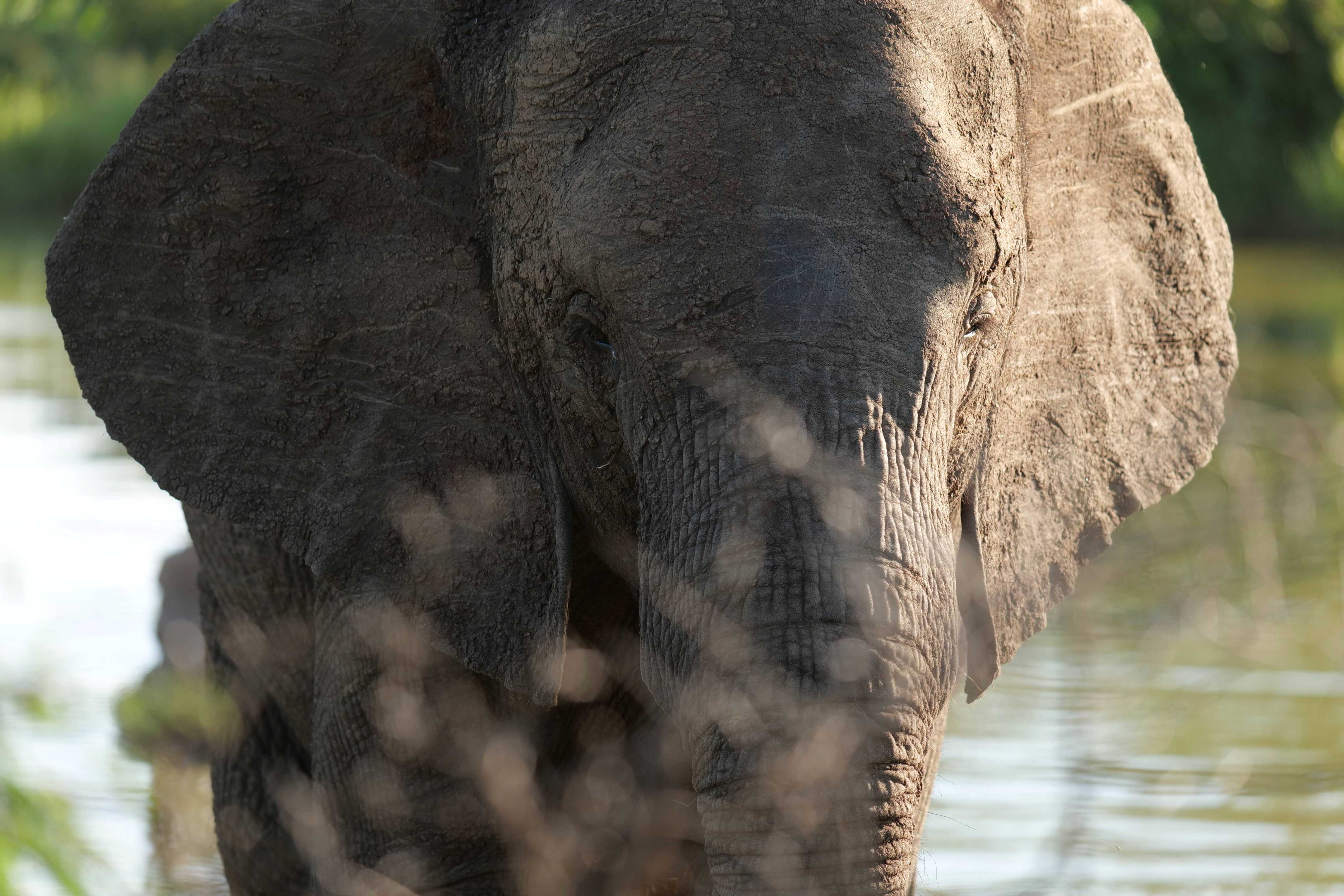 World's #1 Mobile Network for Nature