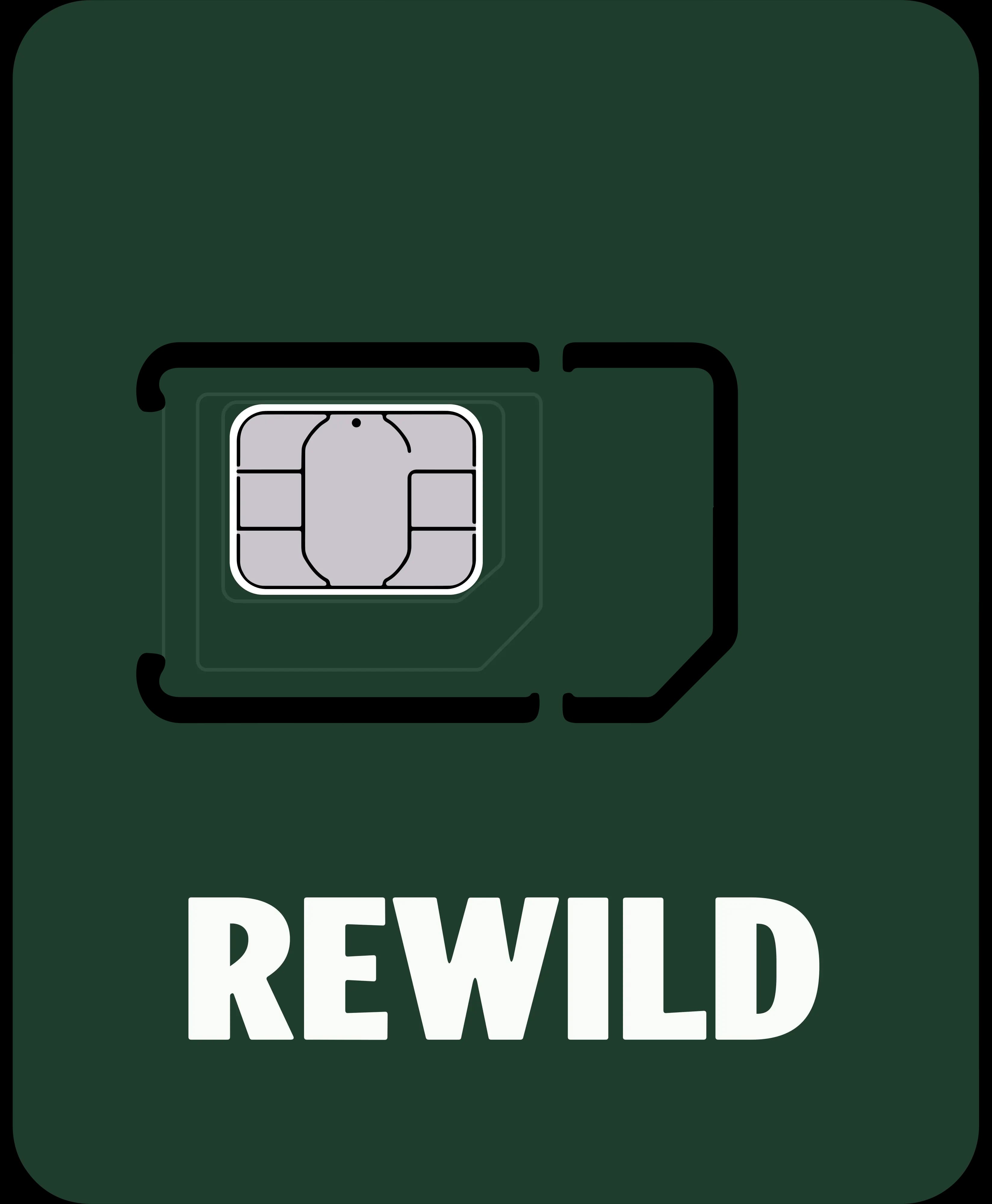 Standard SIM